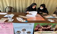 تکریم والدین نوزادان متولد سال ۱۴۰۴ در شهرستان چهارباغ با شعار «فرزندان، سرمایه‌های زندگی»