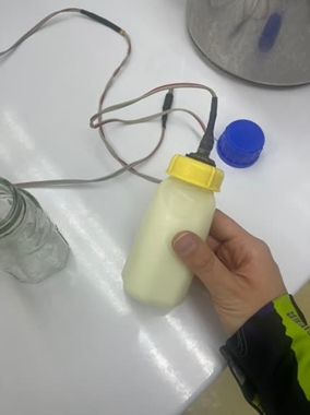 بانک شیر مادر