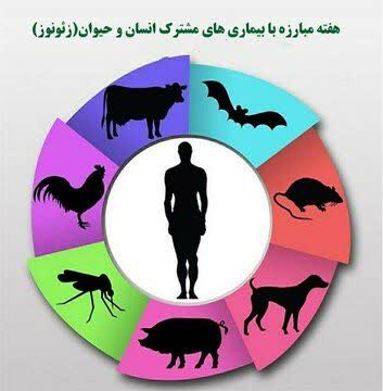 هفته بیماریهای زئونوز